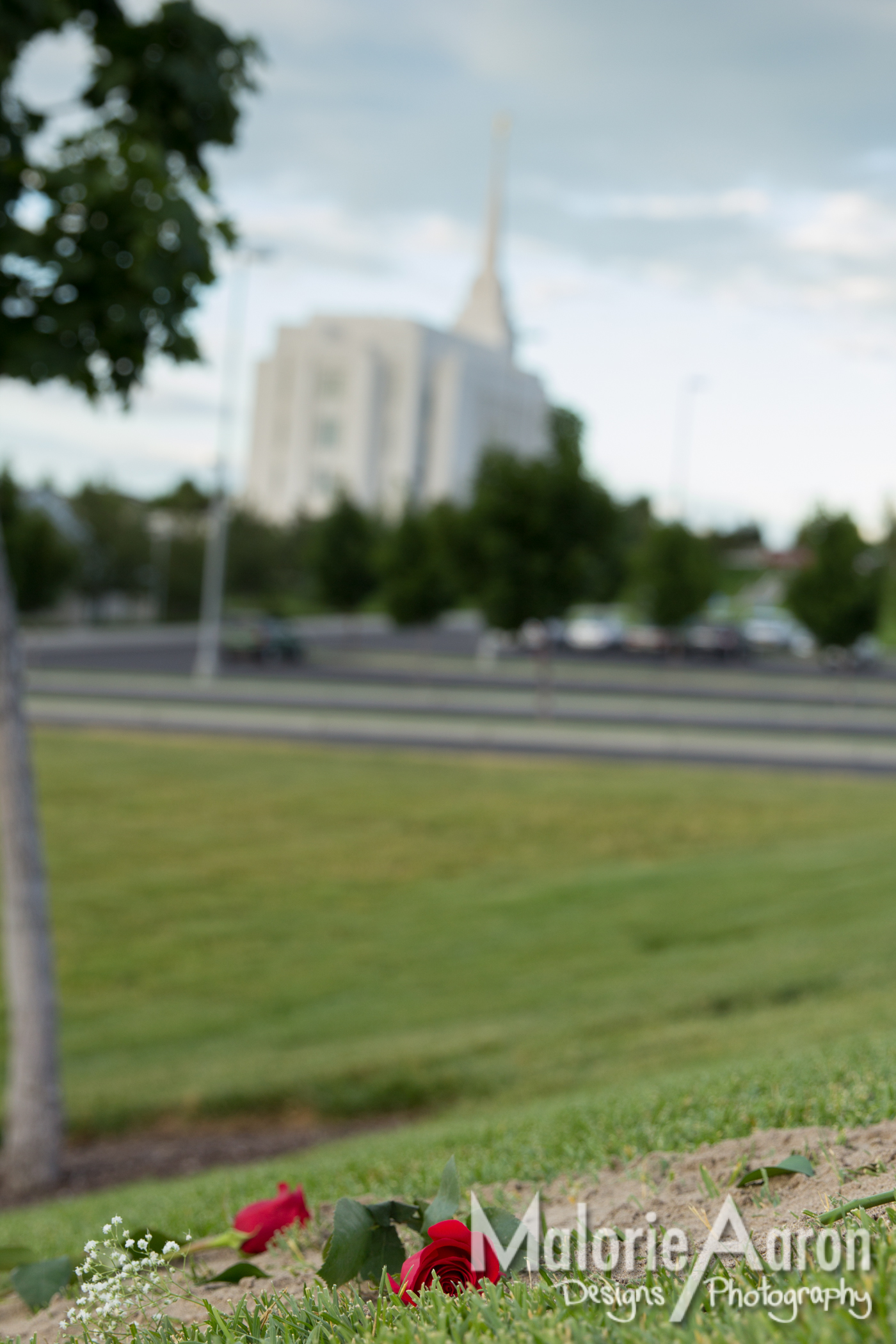 MalorieAaron, photography, Rexburg, wedding, proposal, LDS, temple