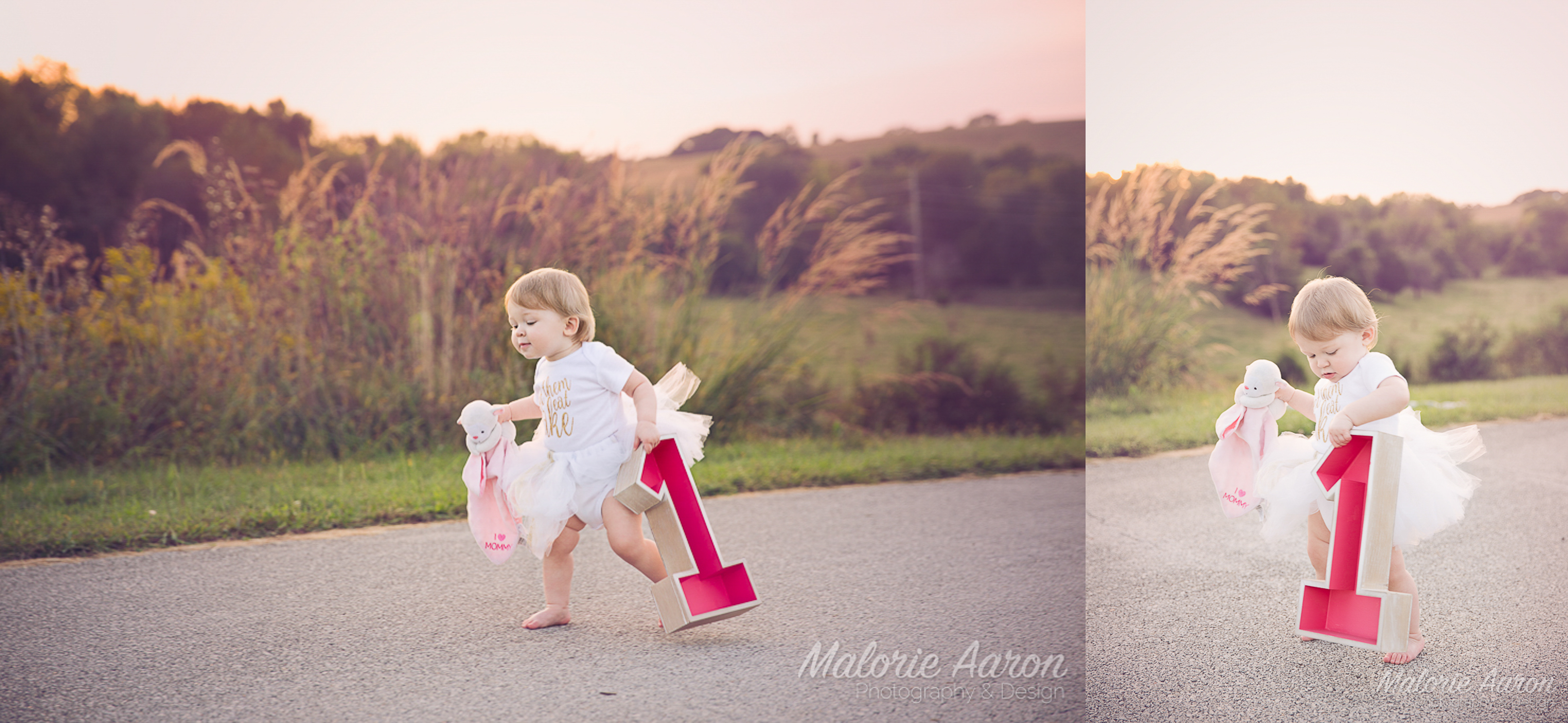 MalorieAaron, photography, Davenport, Iowa, OneYearOld, portraits, family, children, sunderbruch_park, fall