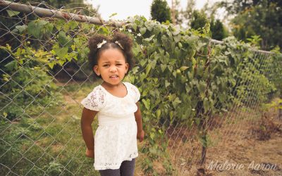 3 Year Old Portraits | Davenport Photographer